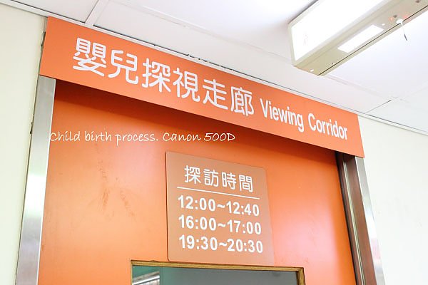 DPP_0031拷貝.jpg