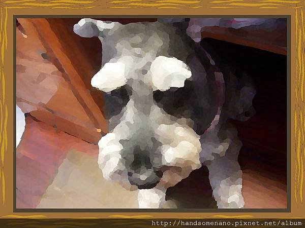 dscn4098_001.jpg