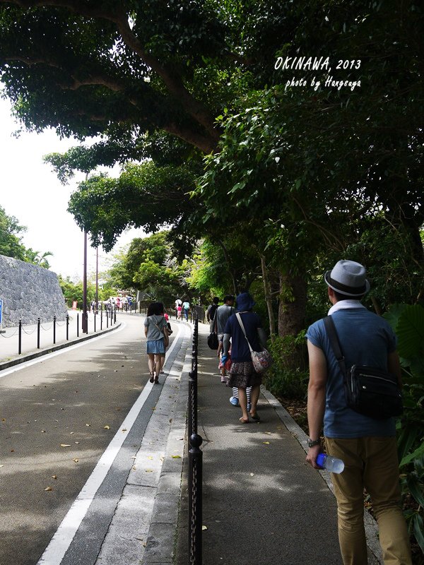P1180829.JPG