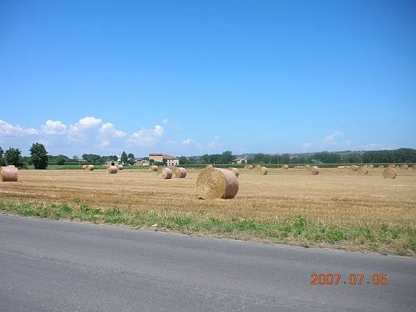 DSCN7596.JPG