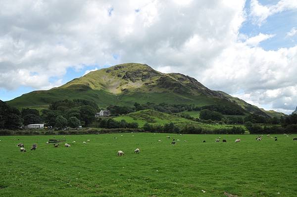 DSC_0475.JPG