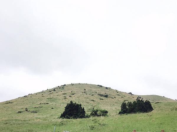 13589058_1432993093393565_477157037_o.jpg