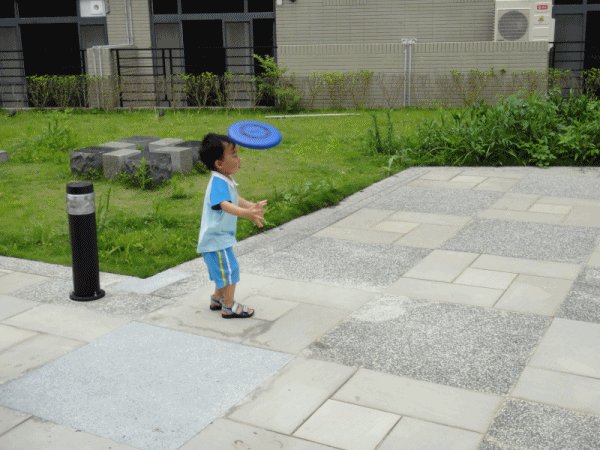 RR1.gif