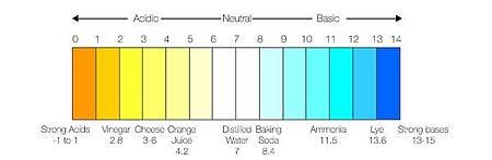 pH-scale.jpg