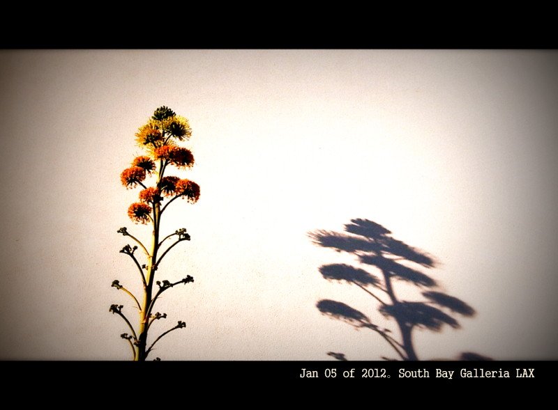 5/365