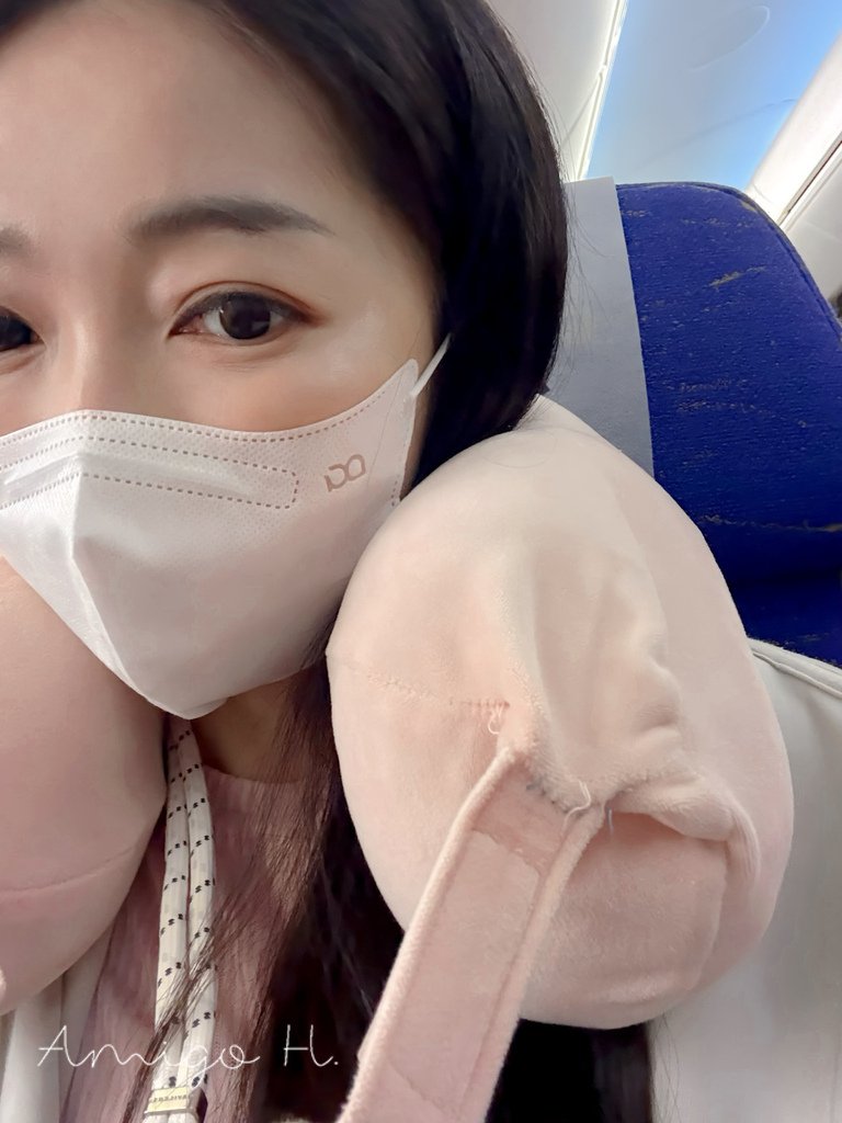 Travel Blue 頸枕