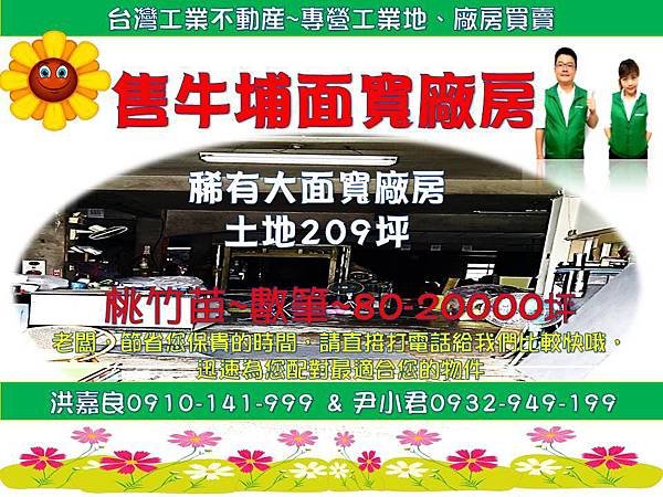 牛埔南214號1