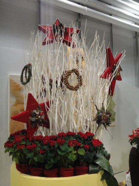 DSC02014.jpg