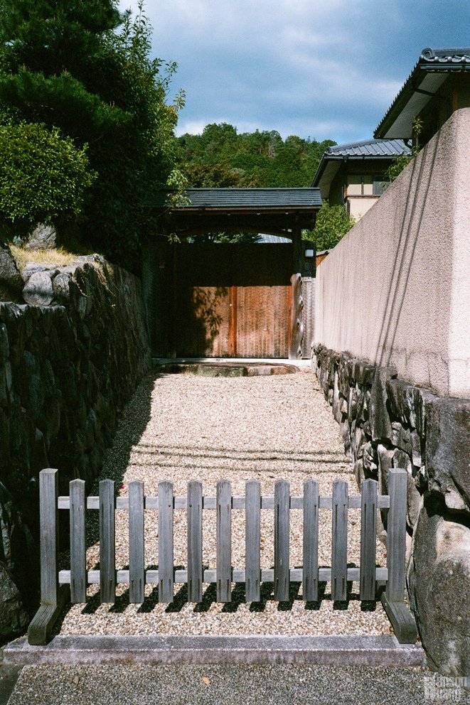 95980013.JPG