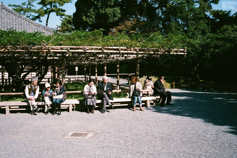95980028.JPG