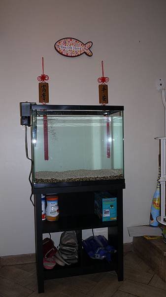 tank-setup