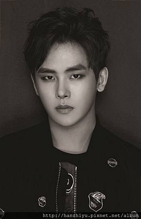 Hoya-2.jpg