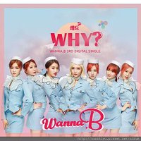 왜요 (Why).JPG