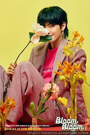 Hwall-2.jpg