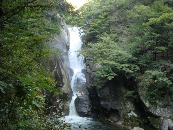 CIMG0388.jpg