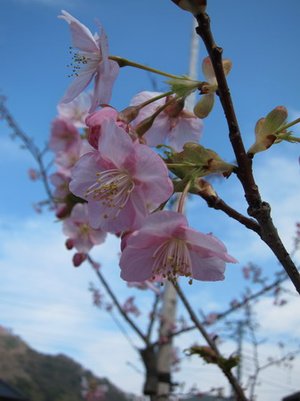IMG_3630.JPG