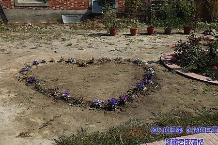 IMG_0889.JPG