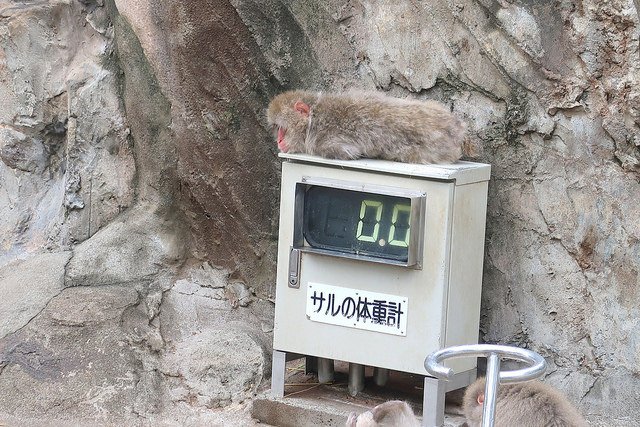 2018.06.21 日本自由行