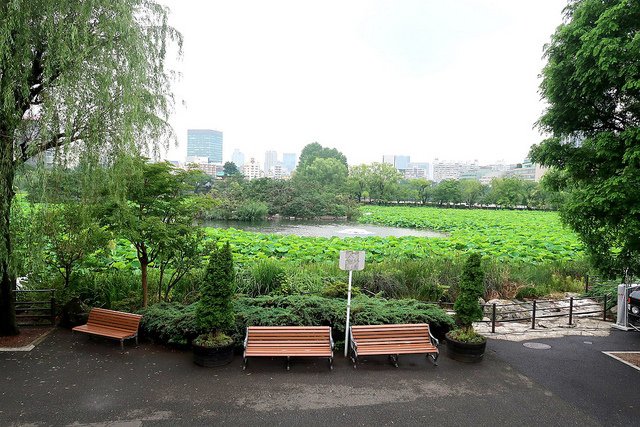 2018.06.21 日本自由行