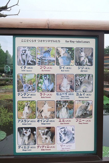 2018.06.21 日本自由行