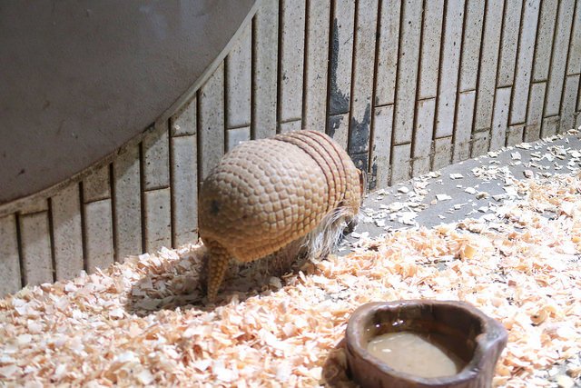 2018.06.21 日本自由行