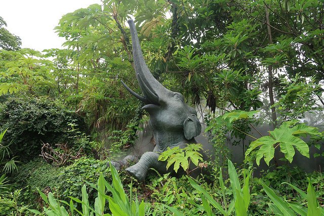 2018.06.21 日本自由行