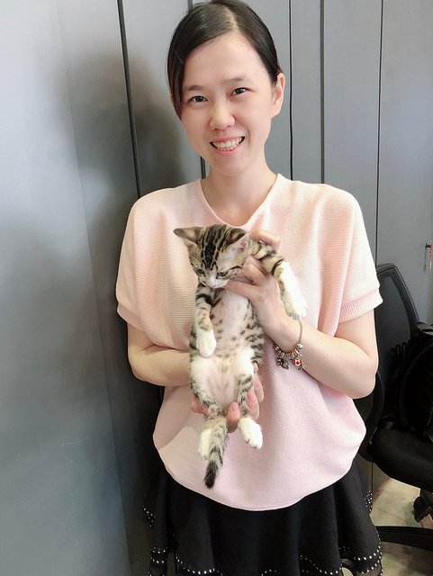 2018.06.22 巧虎來探班