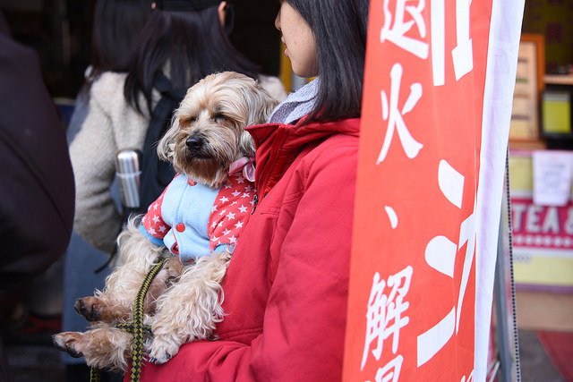 2018.01.13 高雄旗山老街