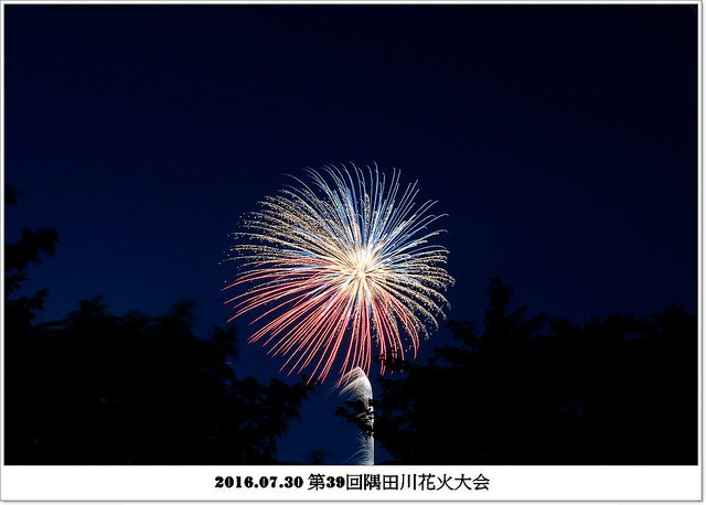 2016.07.30 第39回隅田川花火大会