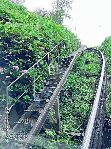 20230624112510_IMG_5529.JPG