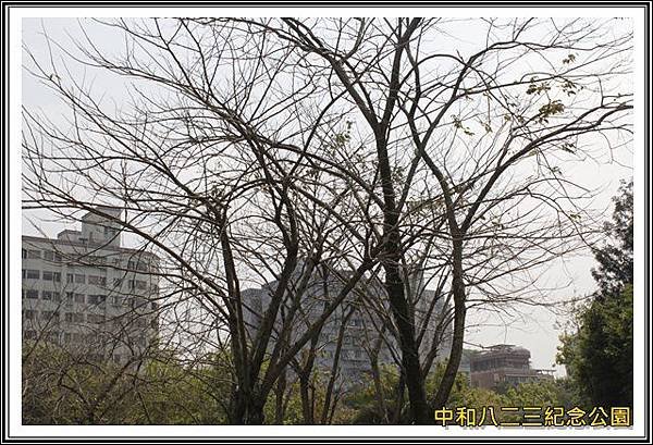 _MG_6975.JPG