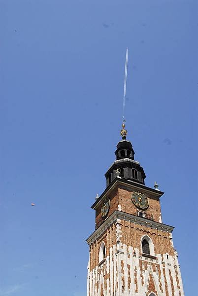 _DSC0126.JPG