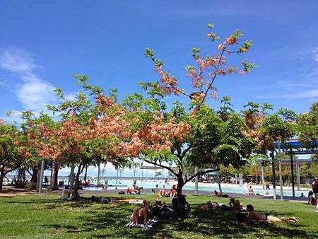 Lagoon Pool, Cairns