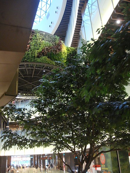 DSC01199.JPG