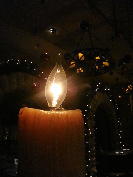DSC01175.JPG