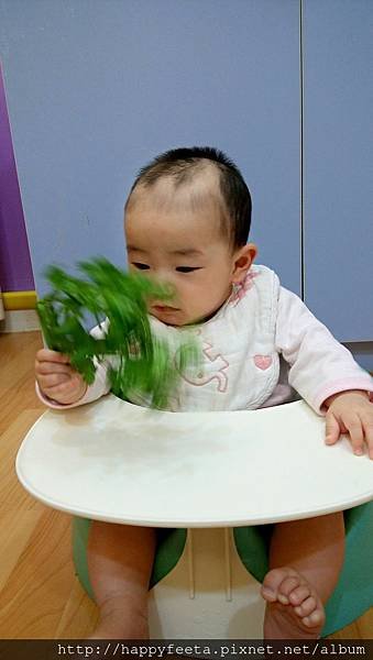 娃娃班（嗅覺刺激）香菜…香_7.jpg