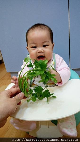 娃娃班（嗅覺刺激）香菜…香_39.jpg