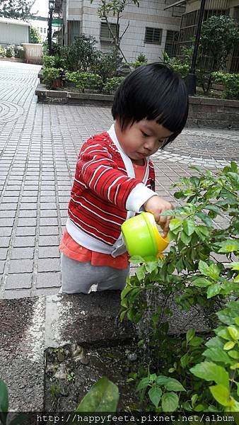 綿羊 戶外澆花_4.jpg