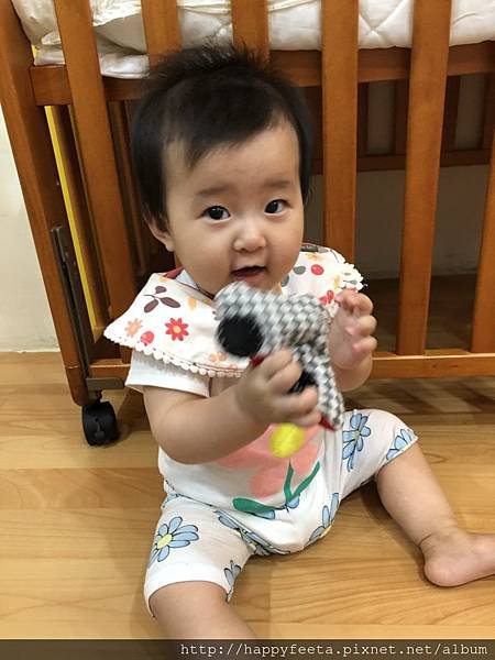 乳牛 沙包摸一摸_34.jpg