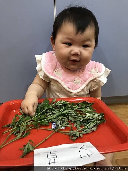 河馬。艾草摸一摸_25.jpg