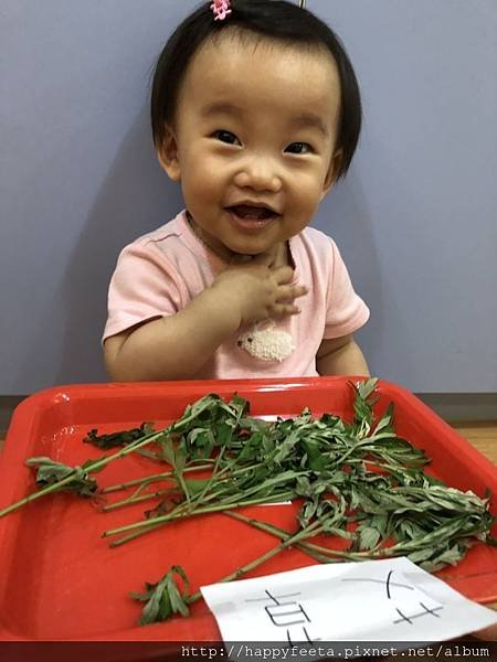 河馬。艾草摸一摸_32.jpg