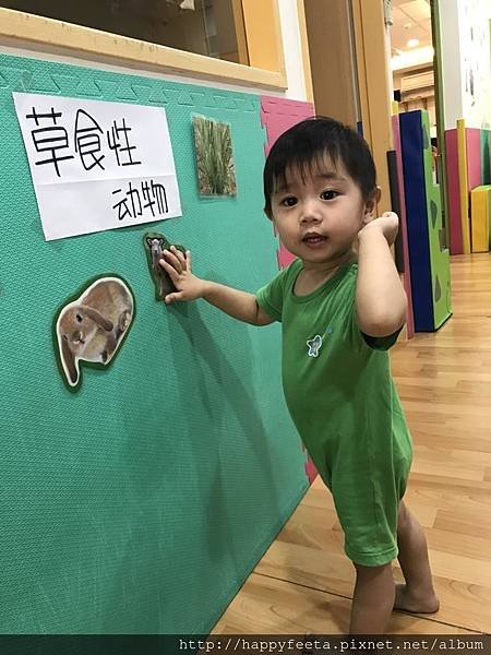 大🐘班-動物吃什麼_180810_0016.jpg