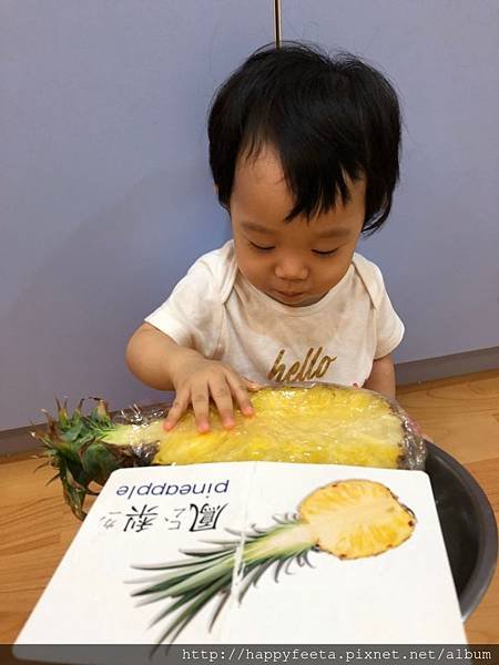 河馬。鳳梨🍍剖面圖_24.jpg