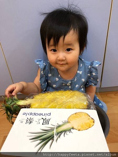 河馬。鳳梨🍍剖面圖_29.jpg