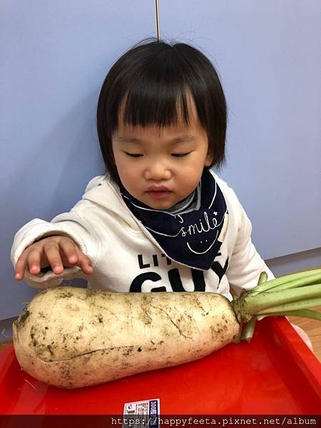 河馬。好吃菜桃貴😋_190122_0040.jpg