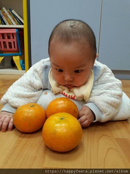 白🐰班~大吉大利🍊_190129_0007.jpg