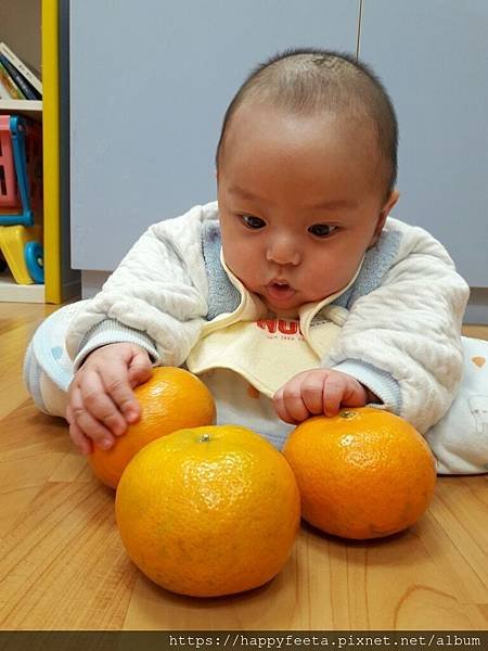 白🐰班~大吉大利🍊_190129_0002.jpg