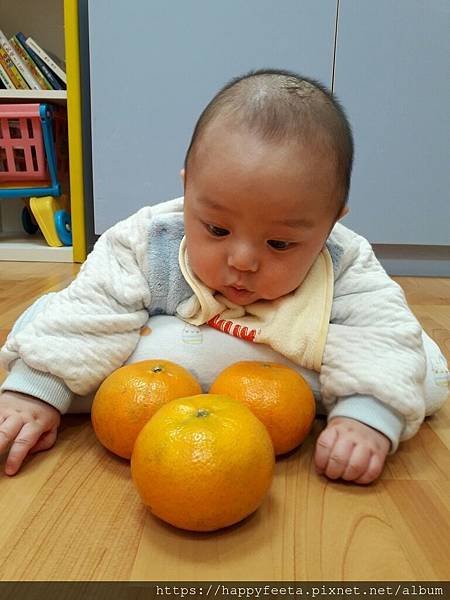 白🐰班~大吉大利🍊_190129_0004.jpg