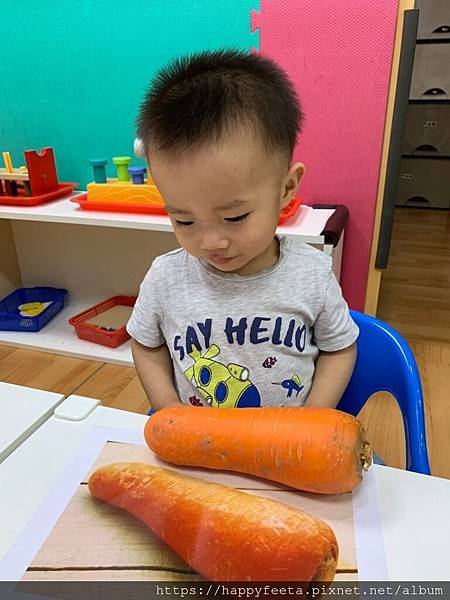 河馬🦛 認識胡蘿蔔🥕_190515_0011.jpg