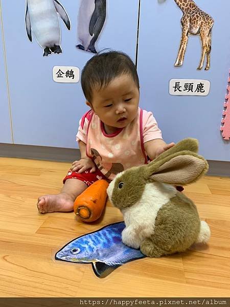 白🐰班～可愛的兔子_190814_0001.jpg